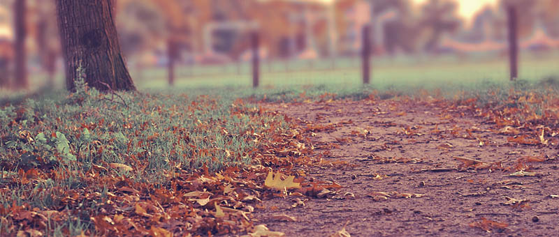 网站攻击工具手机版